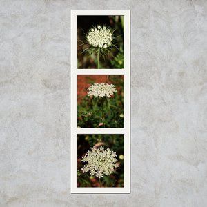 Contemporary flower photo artwork wall art